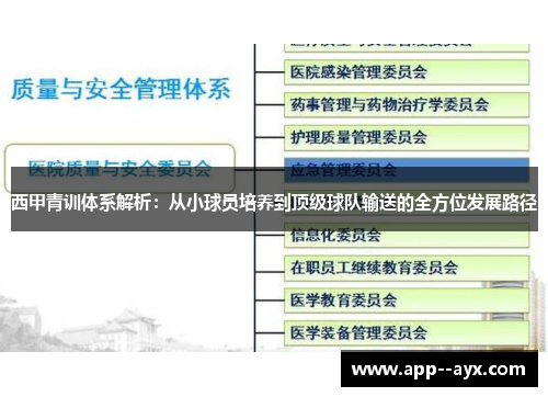 西甲青训体系解析：从小球员培养到顶级球队输送的全方位发展路径