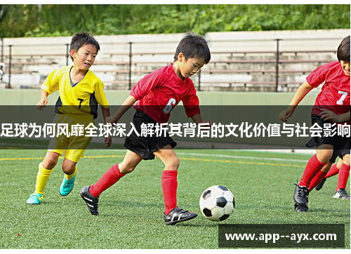 足球为何风靡全球深入解析其背后的文化价值与社会影响