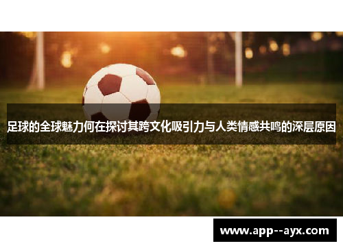 足球的全球魅力何在探讨其跨文化吸引力与人类情感共鸣的深层原因