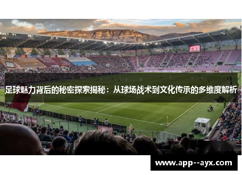 足球魅力背后的秘密探索揭秘：从球场战术到文化传承的多维度解析