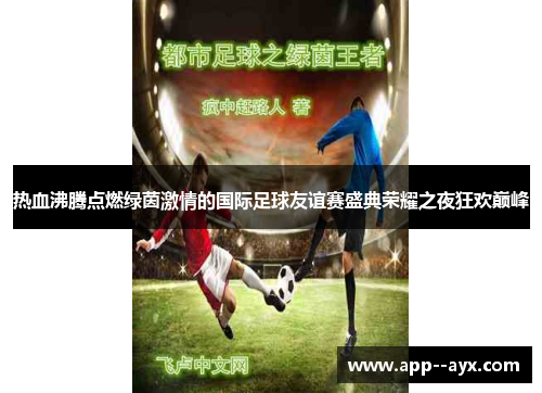 热血沸腾点燃绿茵激情的国际足球友谊赛盛典荣耀之夜狂欢巅峰