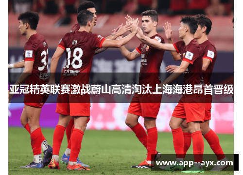 亚冠精英联赛激战蔚山高清淘汰上海海港昂首晋级 亚冠精英联赛激战蔚山高清淘汰上海海港昂首晋级