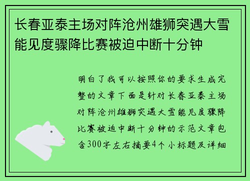 长春亚泰主场对阵沧州雄狮突遇大雪能见度骤降比赛被迫中断十分钟
