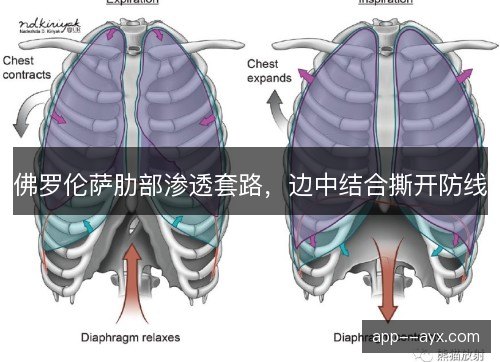 佛罗伦萨肋部渗透套路，边中结合撕开防线